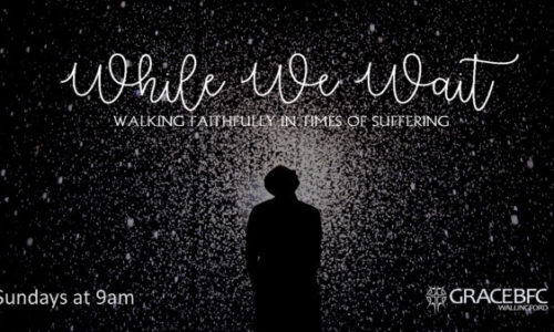 While We Wait: Walking Faithfully in Times of Suffering