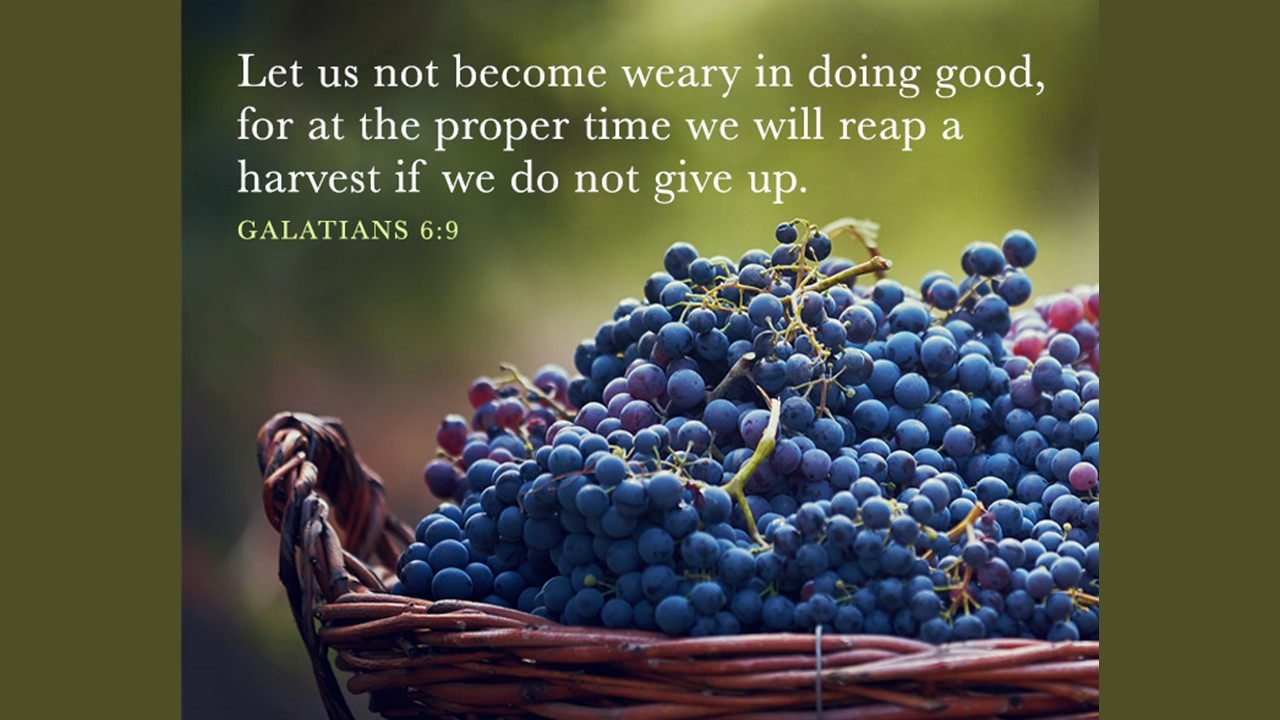 Do Not Grow Weary in Doing Good